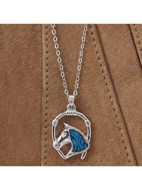 Abalone Shell Horse Framed with Horseshoe Necklace - New In Package